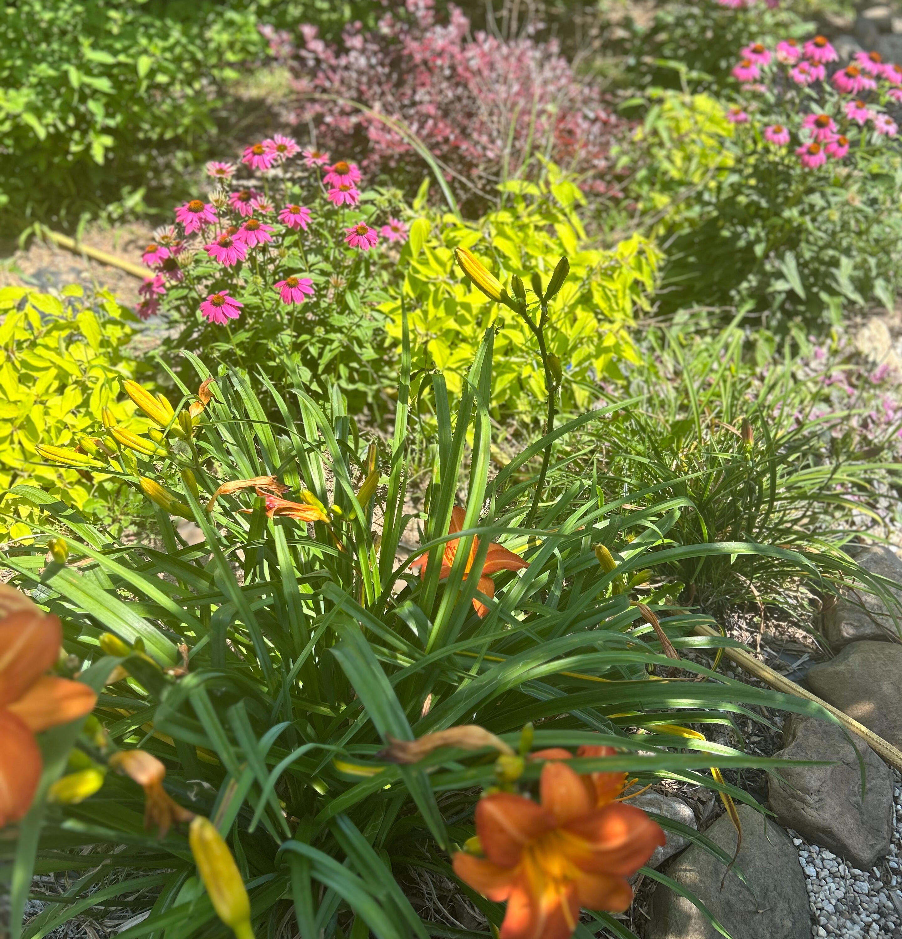 Gardening